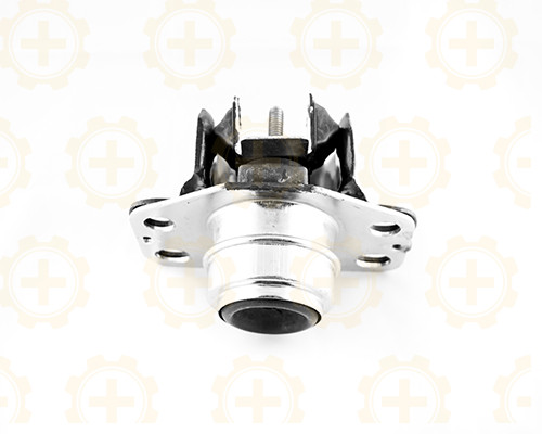 Soporte de motor derecho CAR+
