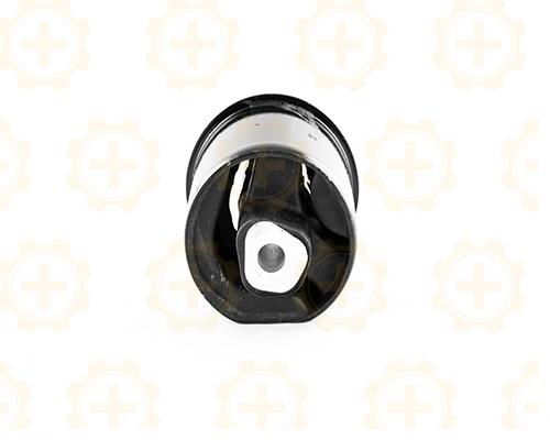 Soporte de motor trasero forntal CAR+