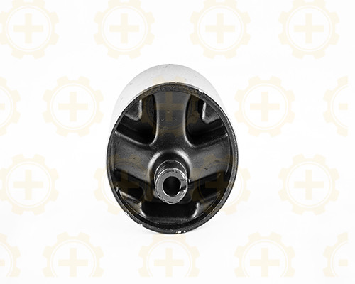 Repuesto para soporte de motor frontal CAR+