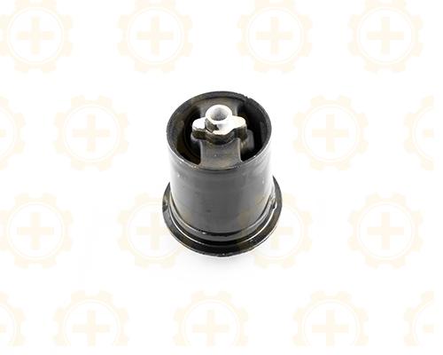 Soporte de motor frontal derecho CAR+